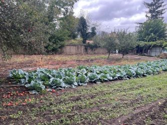 Продава къща в село Тулово