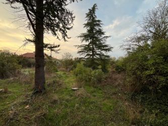 Продава монолитна къща в село Търничени