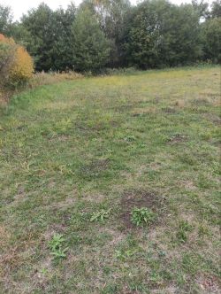 Продавам ливада с. Дунавци, общ. Казанлък