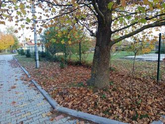 Просторно дворно място с гараж и туристически потенциал в с. Голямо Дряново – 1910 кв.м.