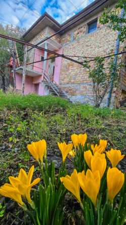 Здрава къща с отлично разпределение в центъра на с. Енина