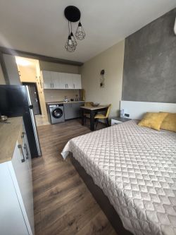 БОКСОНИЕРА В РАЙОНА НА АБАЯТА