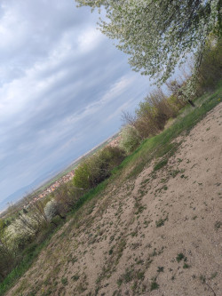 Парцел с панорамна гледка в землището на с.Енина