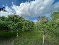 Продажба на прекрасна двуетажна вила в село Долно Сахране