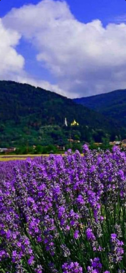 Продава Къща Масивно строителство в гр.Шипка