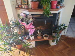 Продава Четиристаен апартамент Тухла в гр.Казанлък