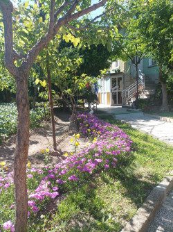 Продава се къща в село Енина