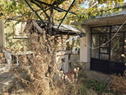 Къща с двор, гараж и лятна кухня, обособена като механа, в с. Шейново