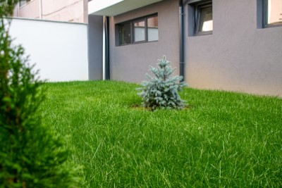 Михс Груп ЕООД